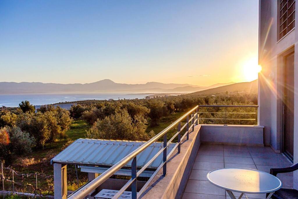 Panoramic View Summerhouse Loukissia Ngoại thất bức ảnh